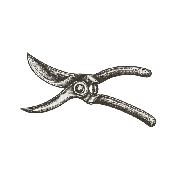 Scissors Icon